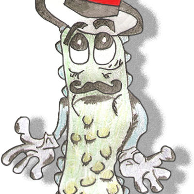 pickle (no bigger).jpg